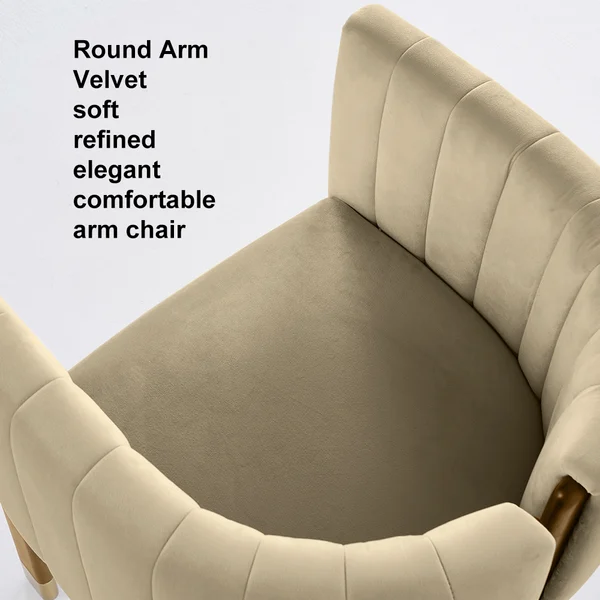 Home Mart Woodpecker Velvet Armchair - Image 13